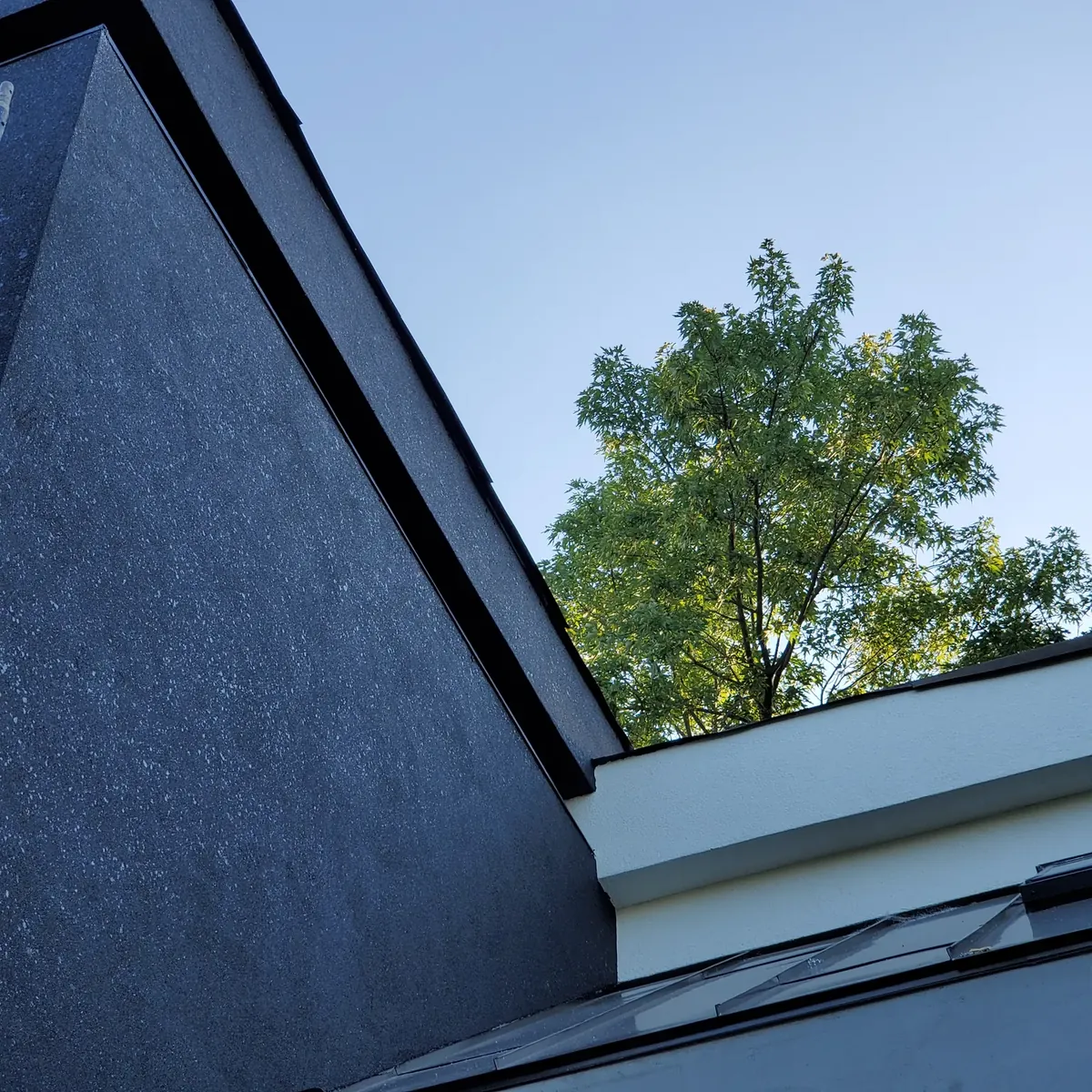 Dark textured stucco wall with a clean roof edge and trees behind